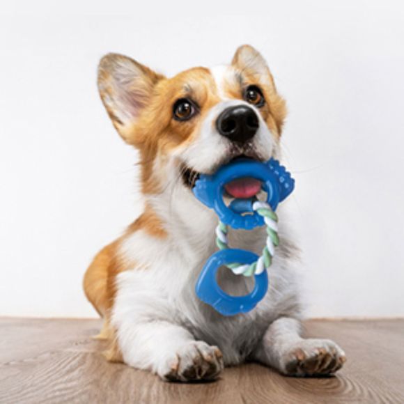 Petstages Orka Dentalinks Puppy Chew Toy for Small Breeds & Puppy: NWT - Picture 7 of 9